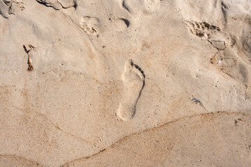 Footprints on wet sand beach footsteps walking outdoors holiday seaside beige ochre background sandy