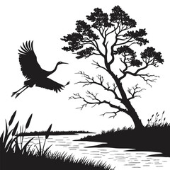Crane landing near riverbank silhouette