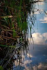 Landscape view from Ezerets lake in Bulgaria close to the border with Romania. 