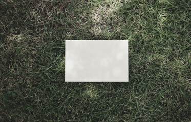 Real organic photo white blank card shadow overlay natural mockup organic design green grass texture