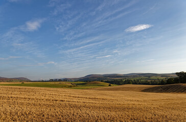 The rolling fields and Countryside north of Edzell, with recently harvested Barley Fields catching the Early morning Golden sun.