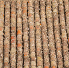 Closeup of traditional clay barrel roof tiles showing age, texture, and natural wear