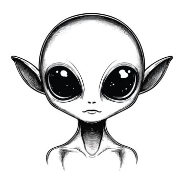 vector illustration of Alie's head