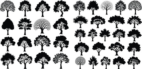 Assorted forest tree silhouettes, varied foliage styles, woodland botanical elements, set for design projects
