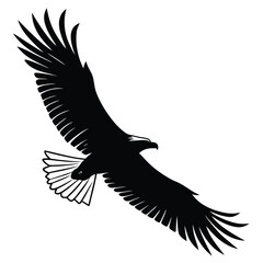 Eagle diving toward river silhouette