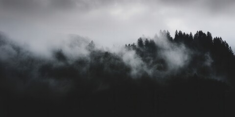 Fototapeta premium The forest is enshrouded in a heavy mist, creating a mysterious and beautiful landscape.