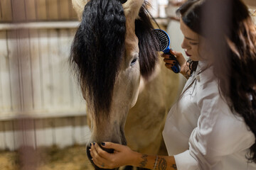 Woman grooming a horse in a stable. Horse care and maintenance. Rural life.