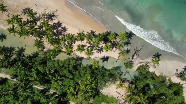 4K aerial footage of Playa Cos&oacute;n showing ocean like texture, brilliant water colors, and palm forest