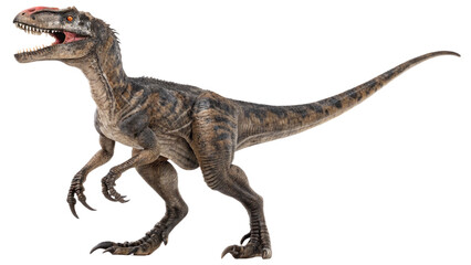 Velociraptor isolated on transparent PNG background