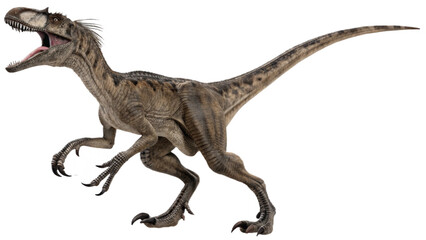 Velociraptor isolated on transparent PNG background