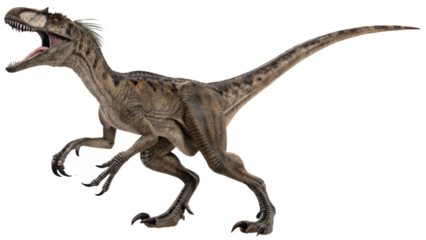 Velociraptor isolated on transparent PNG background
