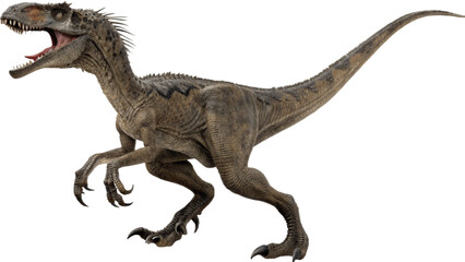 Velociraptor isolated on transparent PNG background