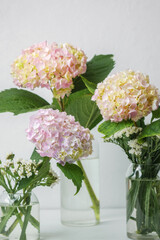 Bright hydrangea bouquet with natural light – ideal for lifestyle blog visuals or floral mockups