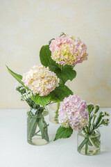 Hydrangea trio in clear vase – perfect for editorial designs, product mockups, and branding