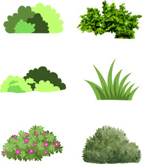 Collection of diverse green bushes and grass illustrations for nature design