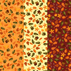 Autumn background with leaves golden yellow. fall concept,For wallpaper, postcards, greeting cards, website pages, banners, online sales. Vector illustration