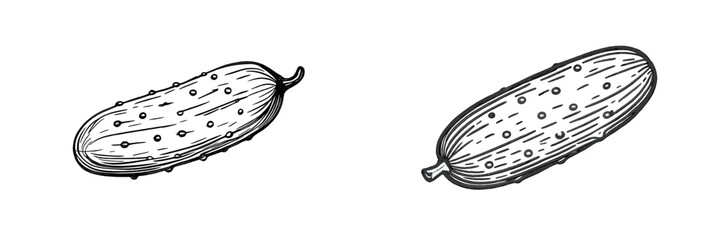 Vector illustration of fresh cucumbers on a white background