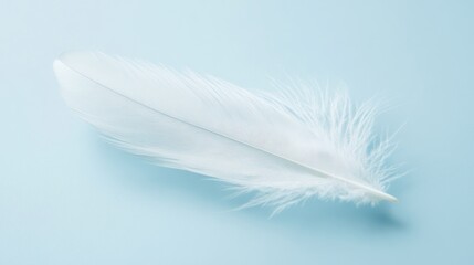 Serene White Feather on Pale Blue Background