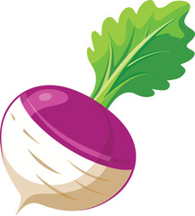 Turnip whole