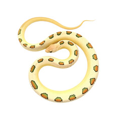 Obraz premium A spiral shaped snake gracefully coiled against a seamless on transparent background