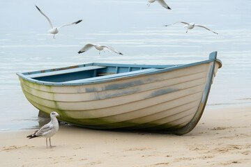 Naklejka premium A small wooden rowboat with a light blue interior and beige hull rests on a sandy beach. 