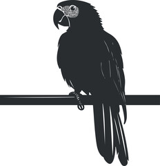 Fototapeta premium Silhouette of a parrot perched on a branch in a simple black and white vector style illustration