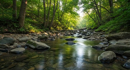 Obraz premium Serene Forest Stream: Sunlight Filtering Through Green Canopy, Rocky Riverbed