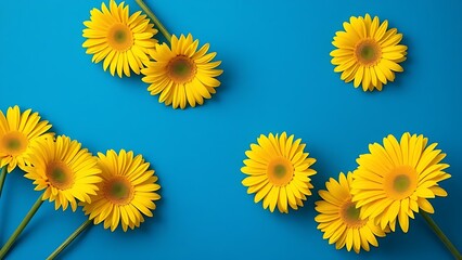 Vibrant yellow gerbera daisies arranged in geometric pattern against deep blue background.