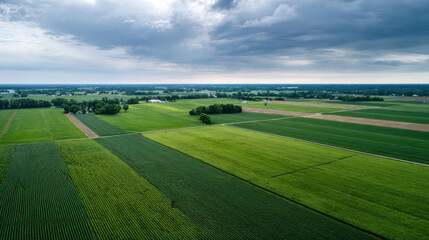 Sustainable farming practices enhance beauty of vast green fields under dramatic sky, showcasing harmony of nature and agriculture
