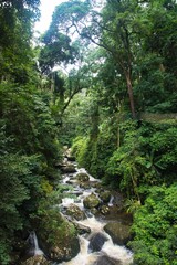 View of Oudomxay Green River and Rainforest Canopy Walk Adventure in Northern Laos Jungle