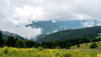 Fototapeta premium A sweeping vista of misty mountains, lush forests, and vibrant wildflowers.