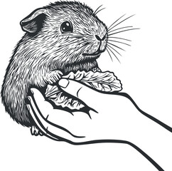 Obraz premium Black and white illustration of a hand feeding a small guinea pig with a leafy vegetable