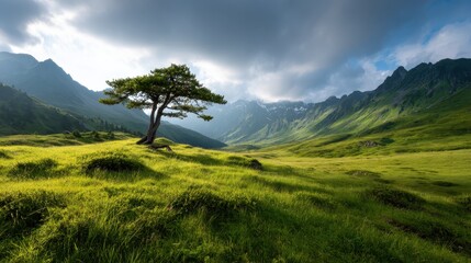 A solitary tree stands majestically in a sprawling green meadow, surrounded by majestic mountains and under a dramatic sky that evokes a sense of peace and admiration in nature.