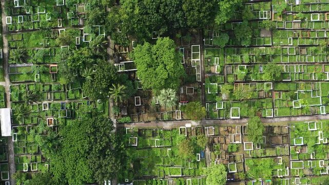 Barishal, Bangladesh - 23 August 2025: Aerial view of a cemetery where white rectangular grave borders contrast with the lush green grass and trees.