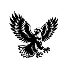 Fototapeta premium Powerful Soaring Eagle Vector Illustration