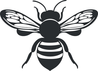 Fototapeta premium Black and white vector illustration of a bee with detailed wings and striped body facing forward