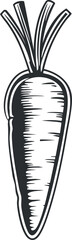 Black and white hand-drawn illustration of a carrot with leaves representing fresh root vegetable
