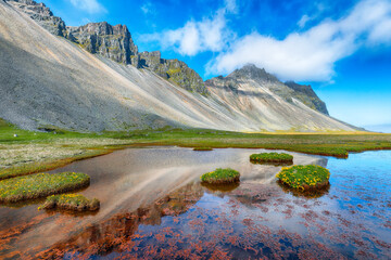 Amazing sunny day and gorgeous meadow near Vestrahorn mountaine on Stokksnes cape in Iceland.