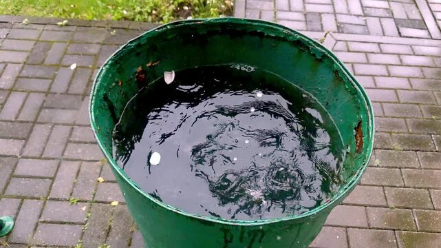 raindrops and a barrel of water, a barrel filled with water into which rain drips from the roof