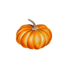 Obraz premium Watercolor illustration orange pumpkin isolated on white background hand drawn.