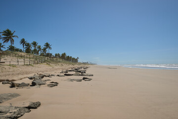 Praia com coqueiros e ondas