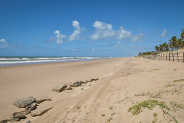 Praia com coqueiros e ondas