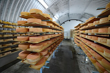 The Leelanau Cheese Store in Suttons Bay, MI, has it's own cheese cellar, like a wine cellar.  They make their own cheese.  2,000 wheels of cheese ageing.