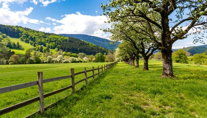 Fototapeta premium A picturesque rural landscape, featuring a wooden fence, rows of blossoming trees, and lush green meadows stretching towards rolling hills.
