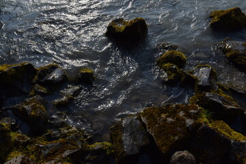 Moss-covered rocks along Icelandic shoreline.