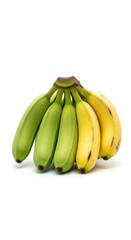 Varied Ripeness: A Cluster of Bananas from Green to Fully Mature