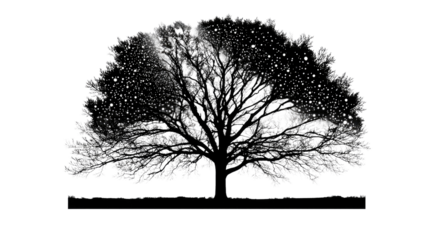 Majestic Tree Silhouette: A detailed silhouette of a solitary tree with its branches reaching skyward, stands as a symbol of strength and endurance.