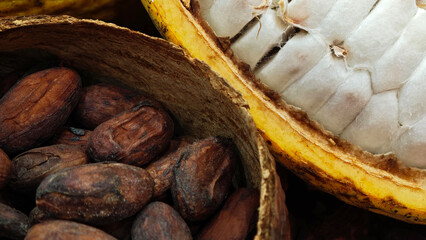 Cacao nibs, cacao beans and raw cocoa fruit on background