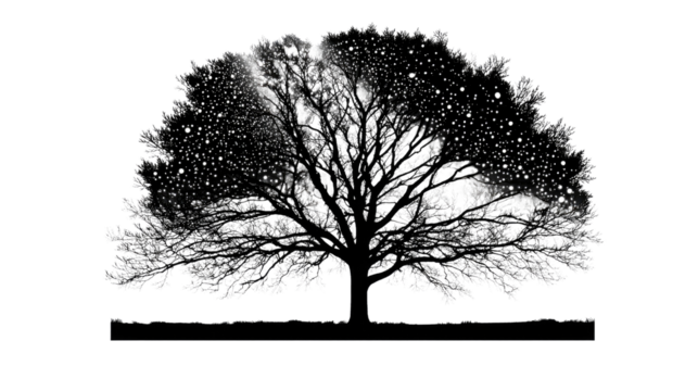 Majestic Tree Silhouette: A detailed silhouette of a solitary tree with its branches reaching skyward, stands as a symbol of strength and endurance.