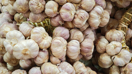 Close up herb garlic on the table.